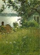 Anders Zorn junikvall Sweden oil painting artist